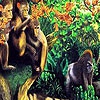 Пазл: Шимпанзе в джунглях (Chimpanzees in the jungle puzzle)