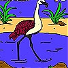 Раскраска: Фламинго (Flamingo in the river coloring)