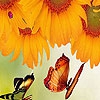 Пазл: Сад с подсолнухами (Sunflowers garden puzzle)