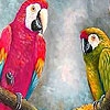 Пазл: Попугаи (Dizzy parrots puzzle)