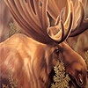 Пазл: Лось в лесу (Moose in the woods puzzle)