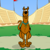 Скуби Ду: игра с мячом (Scooby Doo: Kicking It)