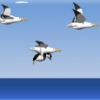 ЙетиСпорт-Полет на альботросах (Yetisport - Albatros overload)