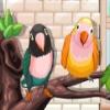 Домашние попугаи (My Sweet Bird)