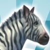 Неподражаемая зебра (Inimitable zebra)