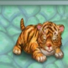 Мой тигренок (my tiger)