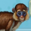 Моя смешная обезьянка (My Funny monkey)
