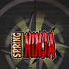Спринг Ниндзя (Spring Ninja)