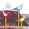 Голубь на палочке (Pigeon on a stick)