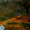 Пазл: Осенний лес (Autumn Forest Jigsaw Puzzle)