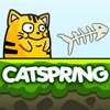 Кэтспринг (Catspring)