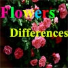 Различные цветы (Flowers Differences)