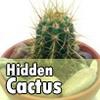 Спрятанные кактусы (Hidden Cactus)