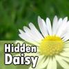 Поиск маргариток (Hidden Daisy)
