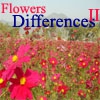Цветочные различия - 2  (Flowers Differences 2)
