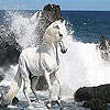 Передвижной Пазл: Дикие белые лошади (White wild horse slide puzzle)