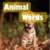 Поиск слов: Животные (Animal Words)