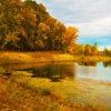 Пазл: Осеннее озеро. (Jigsaw: Autumn Lake)