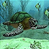 Пятнашки: Морская черепаха (Sea turtle slide puzzle)