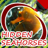 Поиск предметов: Морские коньки (Hidden Seahorses)