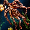 Пятнашки: Осьминог (Orange octopus slide puzzle)