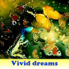 Пять отличий: Мечты (Vivid dreams 5 Differences)
