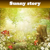 Пять отличий: Солнечная история (Sunny story)