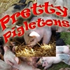 Парные картинки: Свинки (Pretty Pigletons)