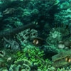 Поиск отличий: Подводные тайны (Underwater Mysteries)