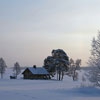 Пазл: Домик в снегах (Winter House)