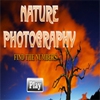 Поиск чисел: На природе (Nature Photography - Find the Numbers)