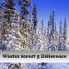 Пять отличий: Зимний лес (Winter forest 5 Difference)