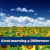 Пять отличий: Доброе утро (Good morning 5 Difference)