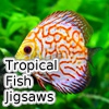 Пазл: Тропические рыбки (Tropical Fish Jigsaw Tournament)