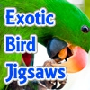 Пазл: Экзотические птицы (Exotic Bird Jigsaw Tournament)