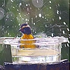 Передвижной пазл: Дождь и птичка  (Rain and bird slide puzzle)