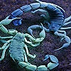 Пятнашки: Скорпионы (Blue Lobsters slide puzzle)
