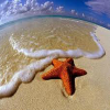 Поиск чисел: Фэнтези (Starfish find numbers)