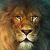 Пазл: Король лев (King lion puzzle)