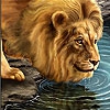 Пятнашки: Лев у воды (Big thirsty lion slide puzzle)