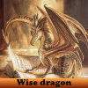 Пять отличий: Мудрость драконов (Wise dragon 5 Differences)
