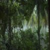 Пазл: Дождь в лесу (Rain Forest Jigsaw Game)