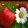 Пять отличий: Клубника (Strawberry meadow)