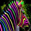 Передвижной пазл: Цветная зебра (Colorful zebra slide puzzle)