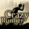 Безумный забег (Crazy Runner)