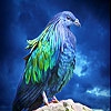 Пятнашки: Фантастическая птица (Lovely blue bird slide puzzle)