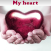 Поиск отличий: Сердце (My heart. Spot the Difference)