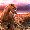 Пятнашки: Фантастический конь (Fantastic horse slide puzzle)