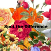 Поиск отличий 3 (Spot The Difference)