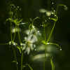 Поиск чисел: После бури (After the Thunderstorm)